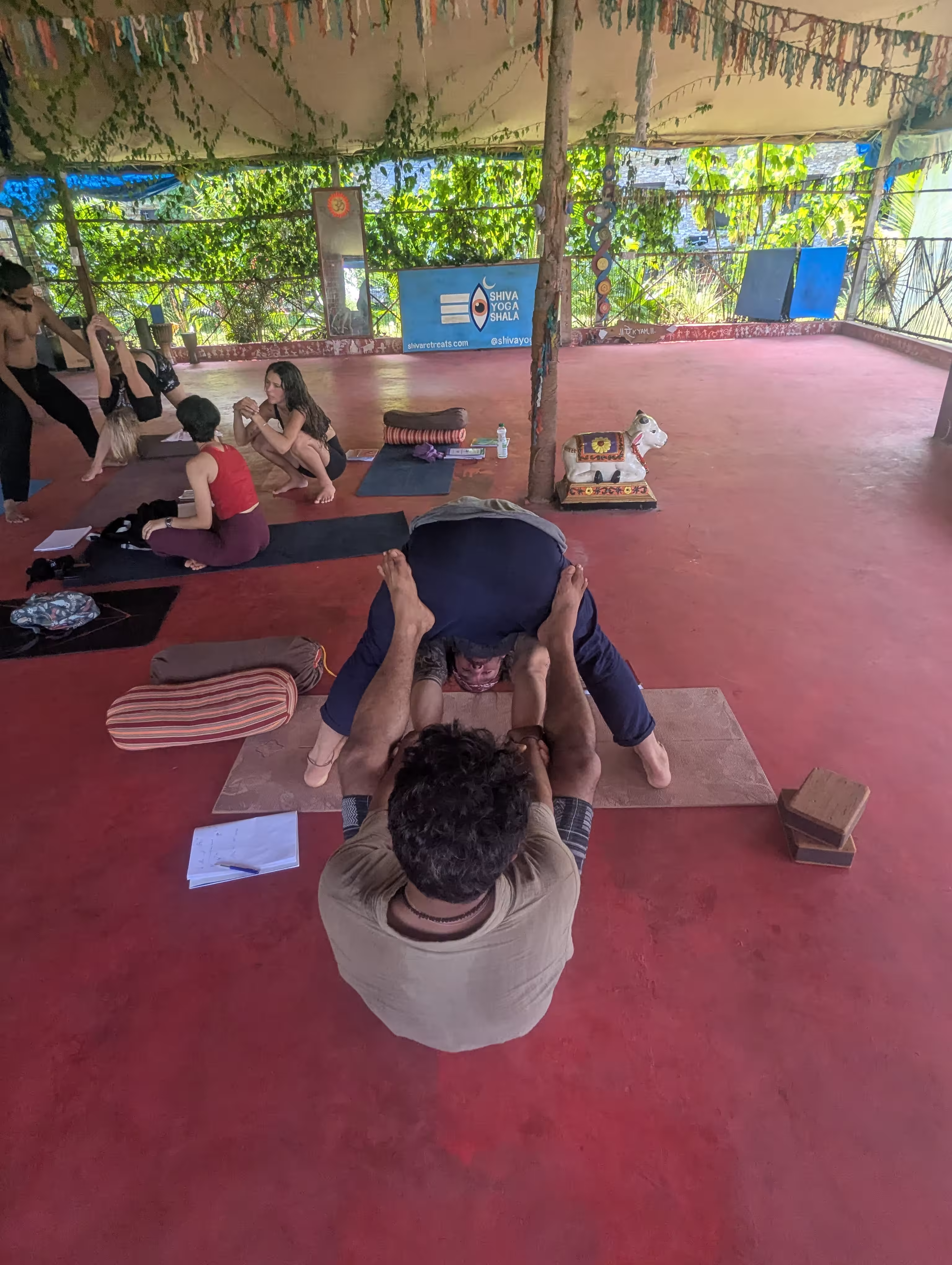 Yoga scene